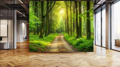 Path leading through a lush green forest , predetermined, journey, direction, paved, trail, wilderness, adventure Wall mural