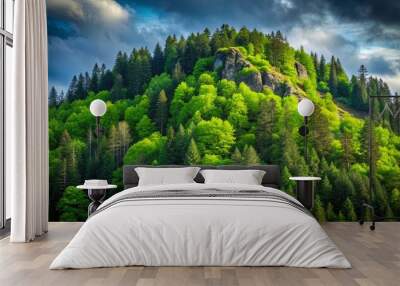 Rocky mountain hill with green forest isolated on background, rocky, mountain, hill, green, forest Wall mural