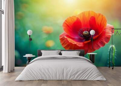 Vibrant red poppy flower with delicate petals, poppy, flower, red, vibrant, delicate, petals, nature, garden, bloom, beautiful, wild Wall mural