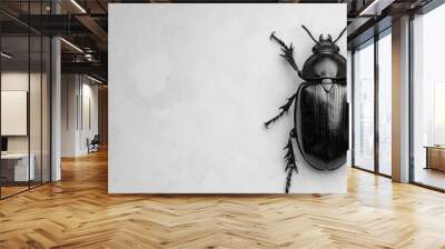  a black and white photo of a bug on a white wall with a black outline of a bug on the back of the bug. Wall mural