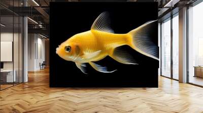  a close up of a goldfish on a black background with a reflection of it's head in the water.  generative ai Wall mural