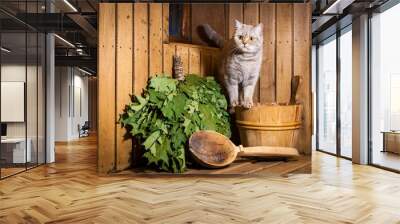 Cat sits in sauna interior. Accessories and interior of Finnish sauna Wall mural