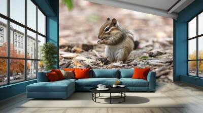 Chipmunk Eating Wall mural