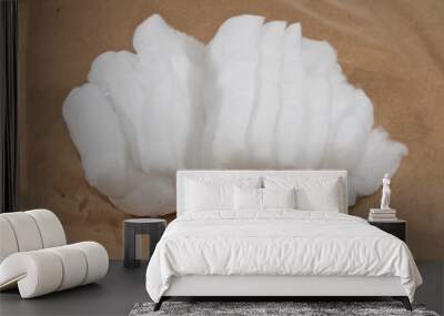 cotton wool isolated on black background Wall mural