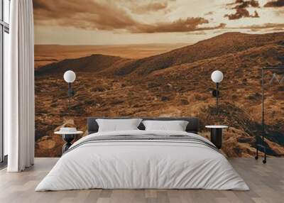 Desert Serenity Wall mural