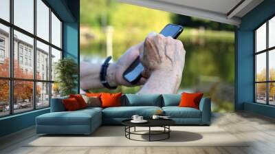 Elderly woman standing with smartphone in a park, mobile phone in wrinkled female hands closeup. Concept of online communication in retirement Wall mural