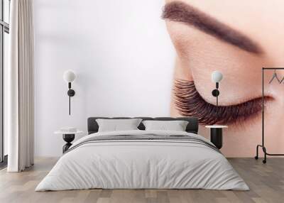 Female Eye with Extreme Long False Eyelashes. Eyelash Extensions. Makeup, Cosmetics, Beauty. Close up, Macro Wall mural