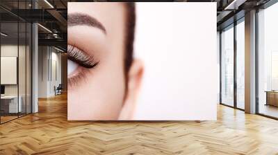 Female Eye with Extreme Long False Eyelashes. Eyelash Extensions. Makeup, Cosmetics, Beauty. Close up, Macro Wall mural