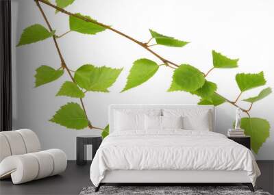 nature Wall mural