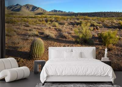 Desert landscape with large plants cactus Ferocactus sp. Organ Mountains-Desert Peaks NM, New Mexico, USA Wall mural