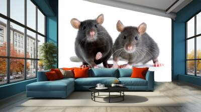 rats Wall mural