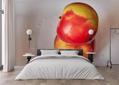 two red apples lie one on the other on a white plate. fruits and vegetables. vitamin c. energy of nature Wall mural