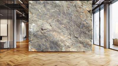 Stone close-up. Can be used for texture and background in design. Wall mural