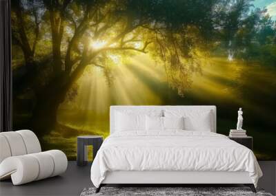 Sunlight shining trees forest grass morning sun rays background break dawn light technology fog searchlights wonder devotion sunbeams reaching towards heavens amazing inspiring
 Wall mural