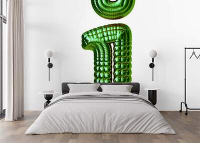 Symbol made of green spheres. letter i Wall mural