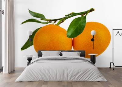 Two tangerines on a twig with leaves. Wall mural