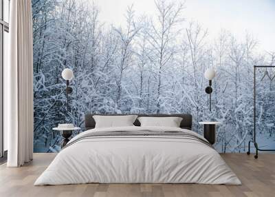 winter snowy forest. on the branches snow drifts. Wall mural