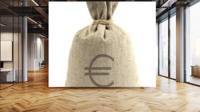 Bank bag with euro Wall mural