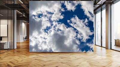 Photography on theme white cloudy sky in unclear long horizon Wall mural