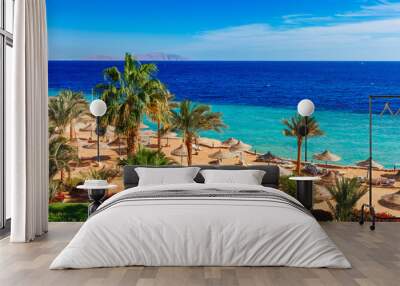 Sunny resort beach with palm tree at the coast shore of Red Sea in Sharm el Sheikh, Sinai, Egypt, Asia in summer hot. Bright sunny light Wall mural