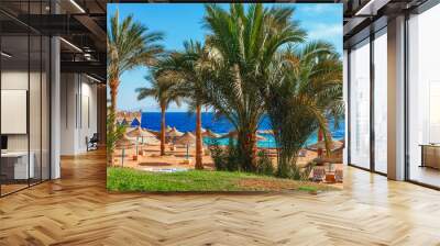 Sunny resort beach with palm tree at the coast shore of Red Sea in Sharm el Sheikh, Sinai, Egypt, Asia in summer hot. Bright sunny light Wall mural