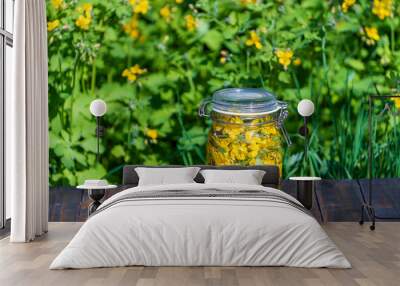 Homemade of herbal tincture from fresh greater celandine flowers and vodka in a glass jar on a wooden table in a spring garden, closeup Wall mural