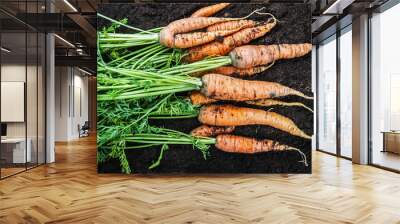 harvest ripe carrots lying on the ground in the garden Wall mural