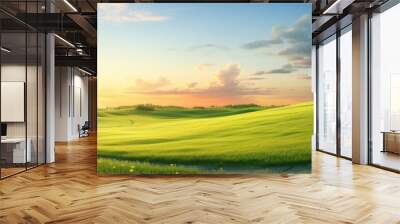 a path through a green field towards sunset Wall mural