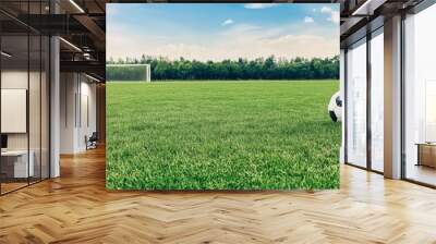 A soccer goal stands in a grassy field with mountains under a blue sky Wall mural