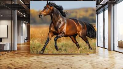 Brown Horse Running Through Field of Grass on Sunny Day Wall mural