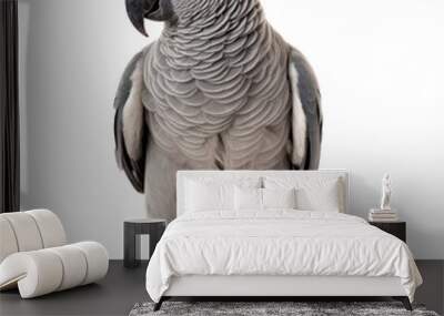 Grey parrot isolated Wall mural