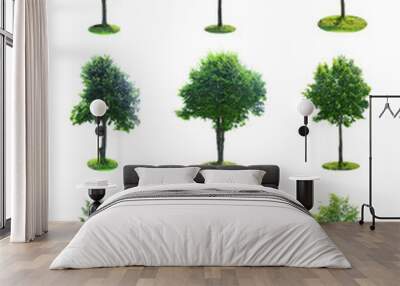 Set of Green Tree Isolated Wall mural