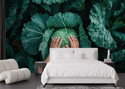 two hands reach up to a huge cabbage Wall mural