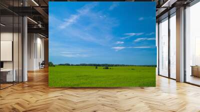 Summer landscape with green field blue sky with clouds Wall mural