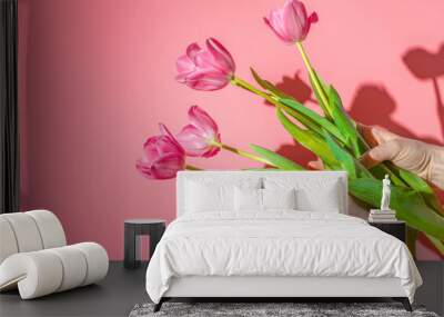 Girl holding pink tulips, female hands with flowers on pink background, hard sunlight. Floral spring background. Wall mural