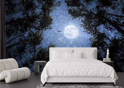 Airplane on the background of the lunar sky Wall mural