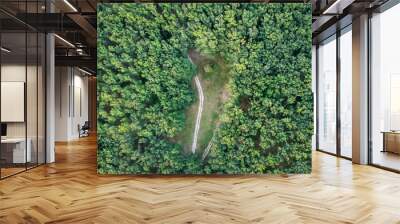 Glade in the middle of the forest - aerial view Wall mural