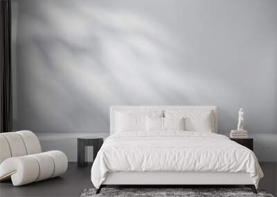 Gray background for product presentation with beautiful lights and shadows Wall mural