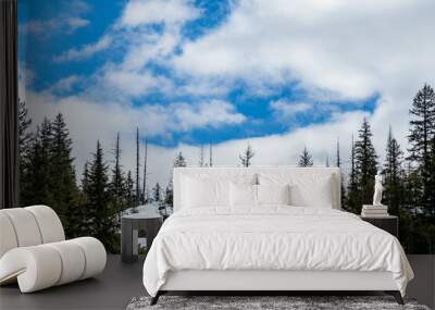 green forest on the mountain with blue sky and white clouds landscape Wall mural