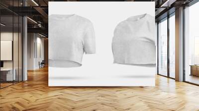 Heather crop top mockup, women's t-shirt 3D rendering, isolated on background, front, back view. Wall mural