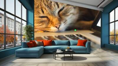 cat sleeping on the table near laptop. close up Wall mural