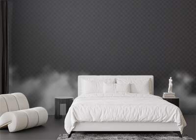 Fog or smoke on transparent background. Vector illustration Wall mural