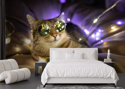 Portrait of funny party cat in sunglasses with Christmas lights Wall mural