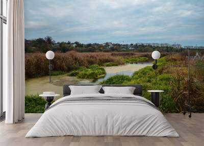 small lake with reeds and green grass Wall mural