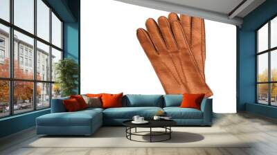 men's brown leather gloves. men's accessories isolated on white background Wall mural