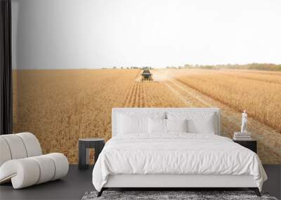 Aerial shot of harvester gathering corn crop in farmland. Flying over combine working on farm during harvesting. Beautiful countryside landscape with large field at background. Top view Wall mural