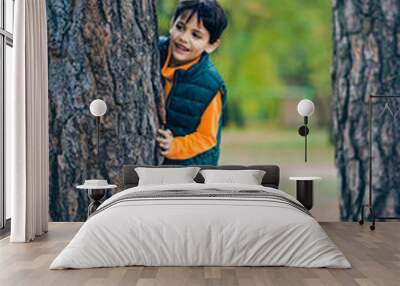 A little boy looks out from behind a tree in the park Wall mural