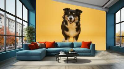 Happy Hound Dog Frolicking on Vibrant Yellow Isolated Background Wall mural