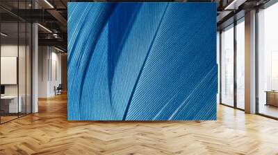 Beautiful Blue trends feather pattern texture background. Macro photography view.. Wall mural