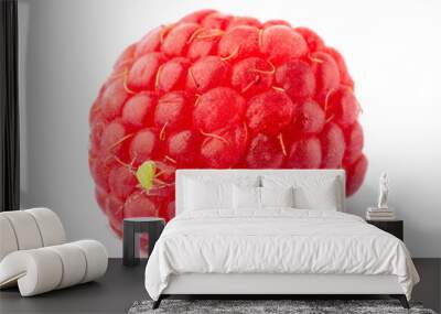 Raspberry and green bug isolated on white background Wall mural